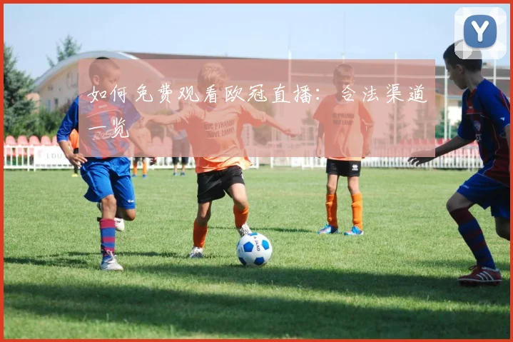 如何免费观看欧冠直播：合法渠道一览